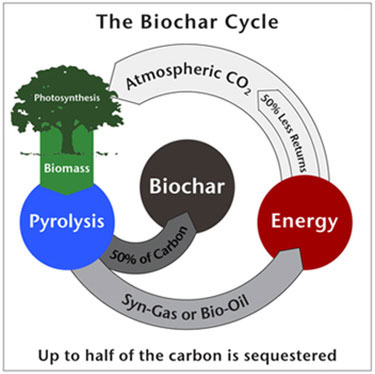 BiocharCycle_374